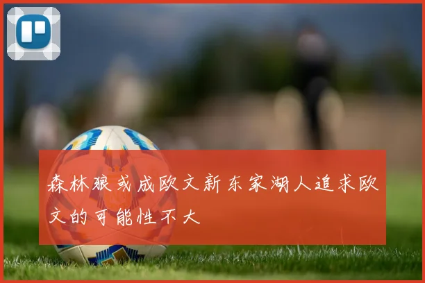 森林狼或成欧文新东家湖人追求欧文的可能性不大
